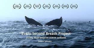 Every Second Breath Project - Petaluma, Sonoma County, California USA