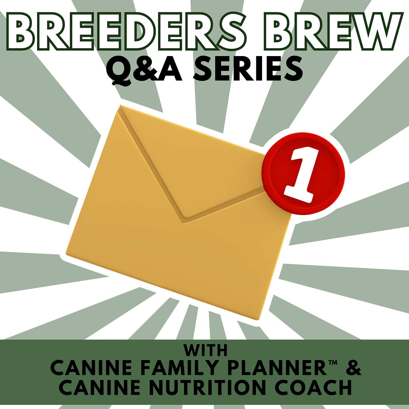 Q&A: Inbox to Airwaves