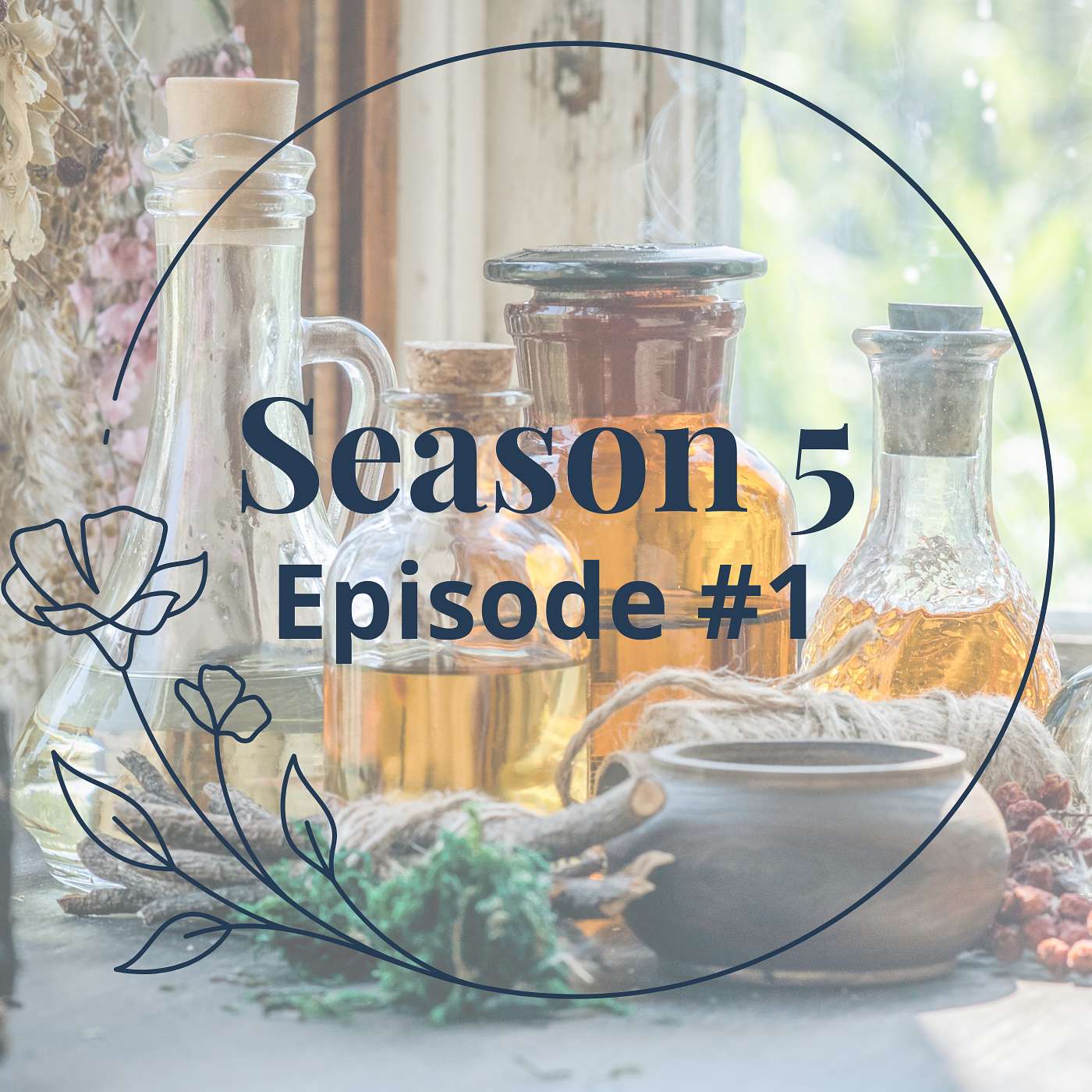 Episode #1S5: When Doulas Turn on Each Other Online: Kindness, Criticism & Speaking Up