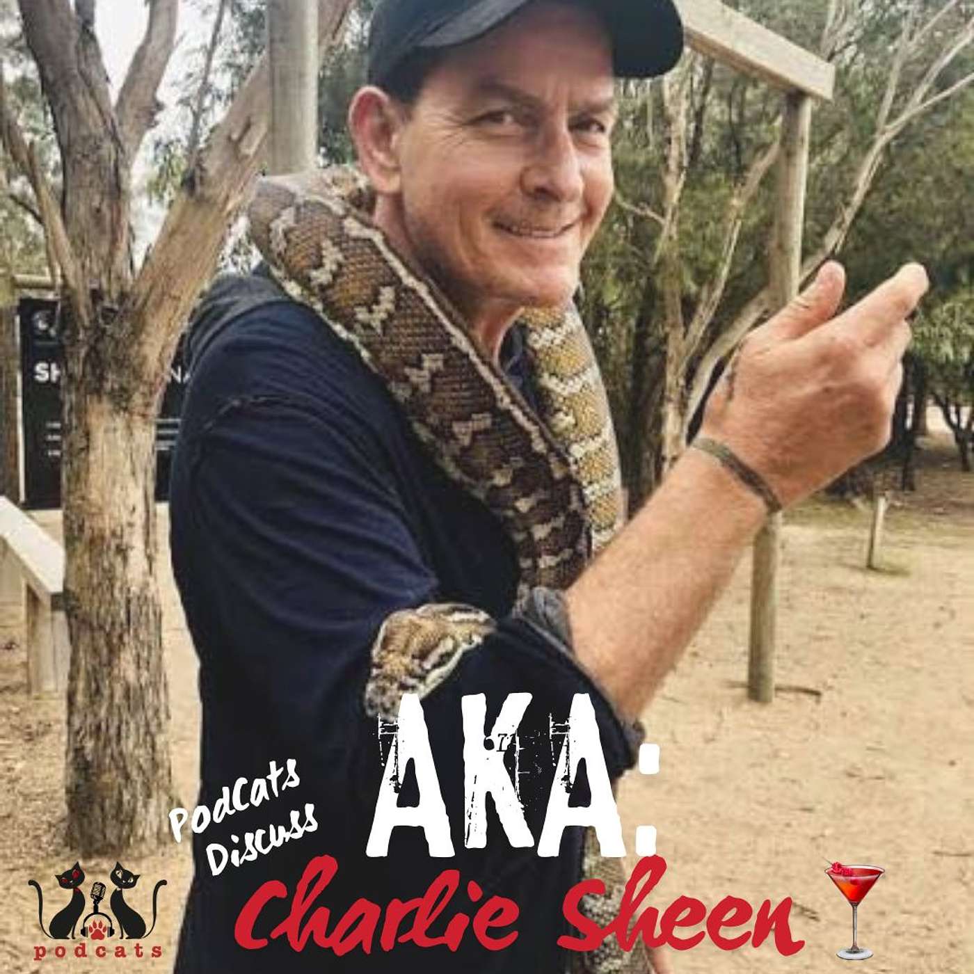 PodCats - Crime & Cocktails