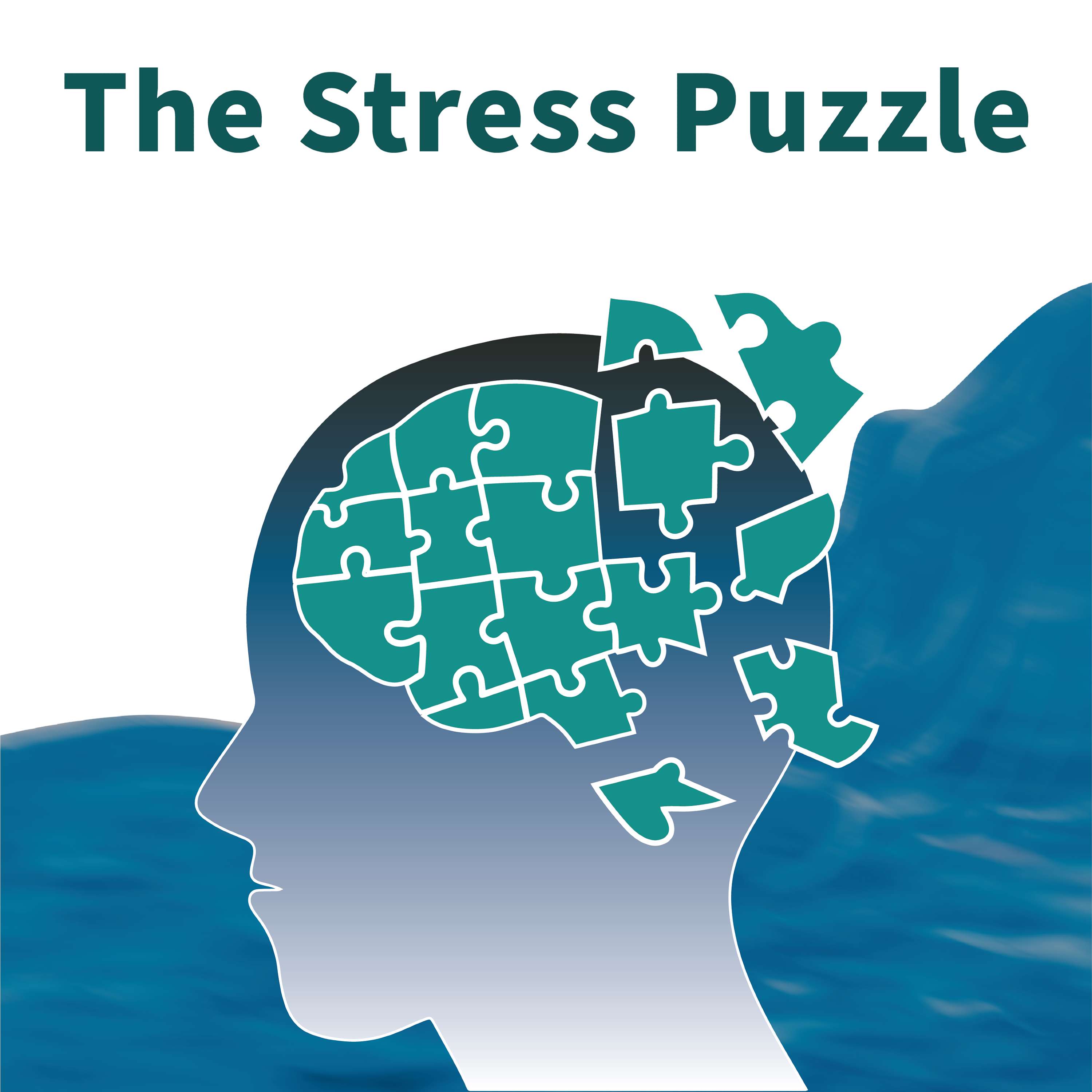 The Stress Puzzle podcast artwork