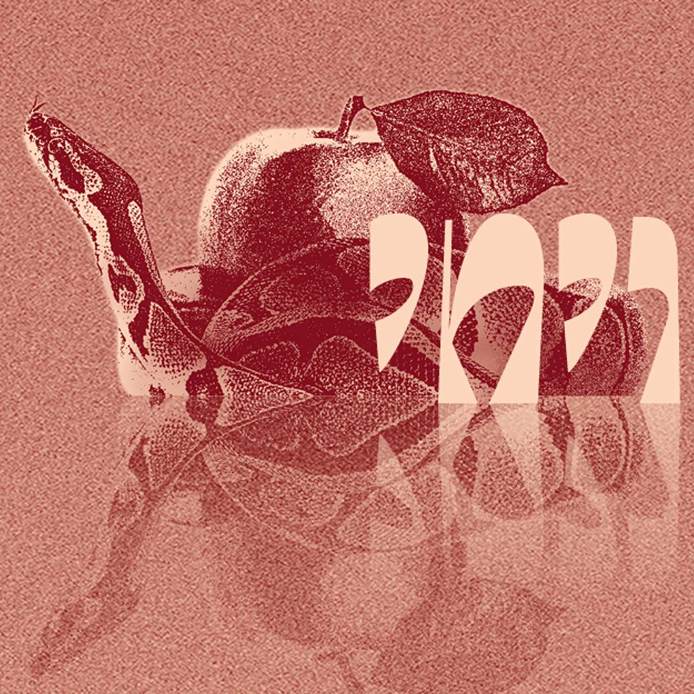 Parashat Vayechi - A Last Request  | Rabbi Shai Finkelstein