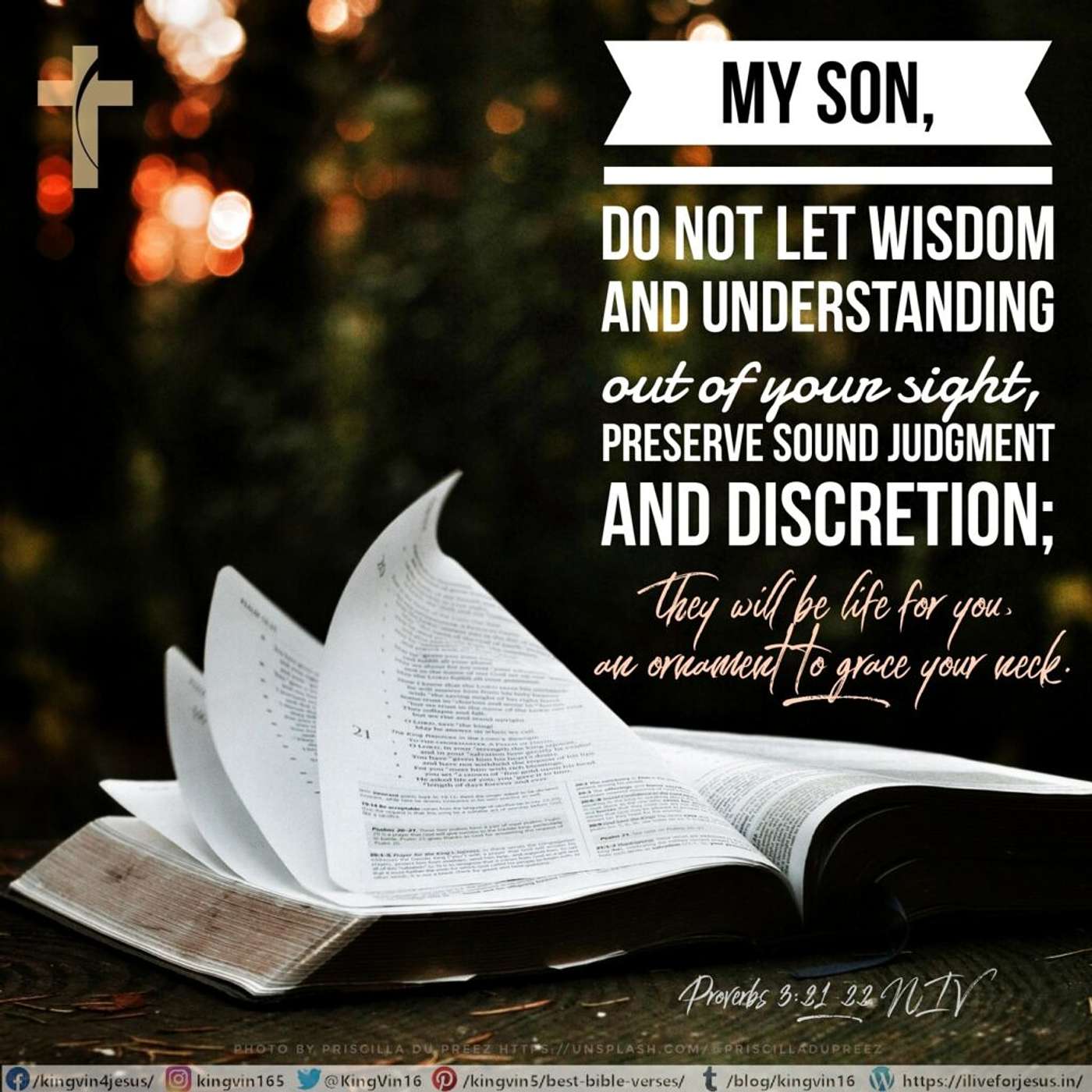 DR #12 Wisdom and Trusting in the Lord read by Mahal episode artwork