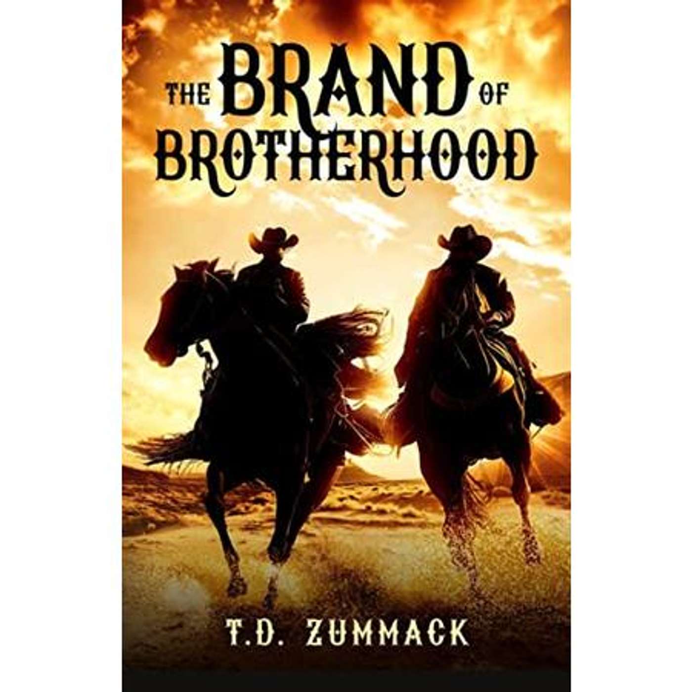 Brothers and a Bandit with Author T. D. Zummack  on Book Lights episode artwork