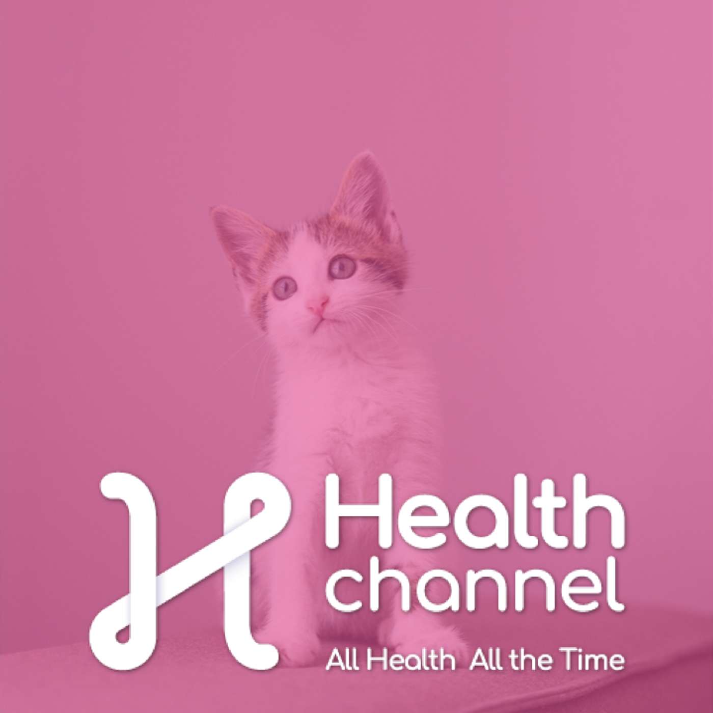 Protect Your Pet’s Heart: Signs You Should Never Ignore | Ask The Doc episode artwork