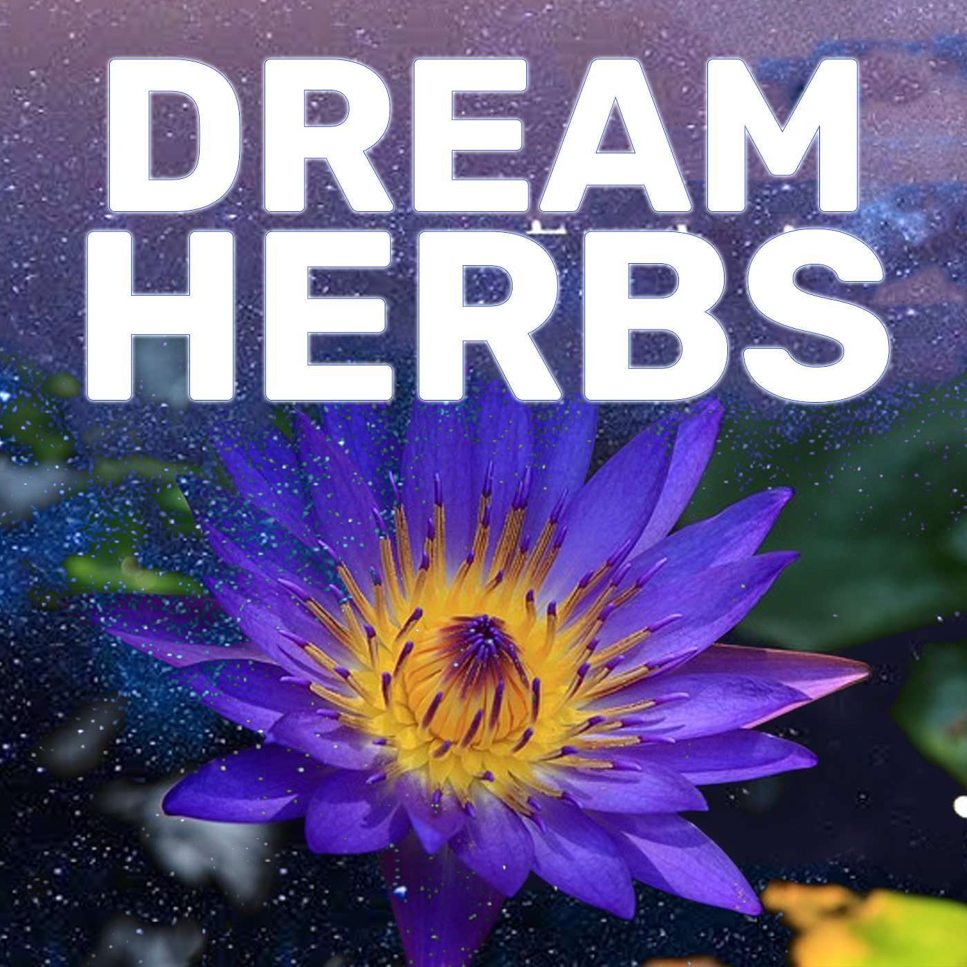 EP50: Oneirogens That Enhance Dreaming