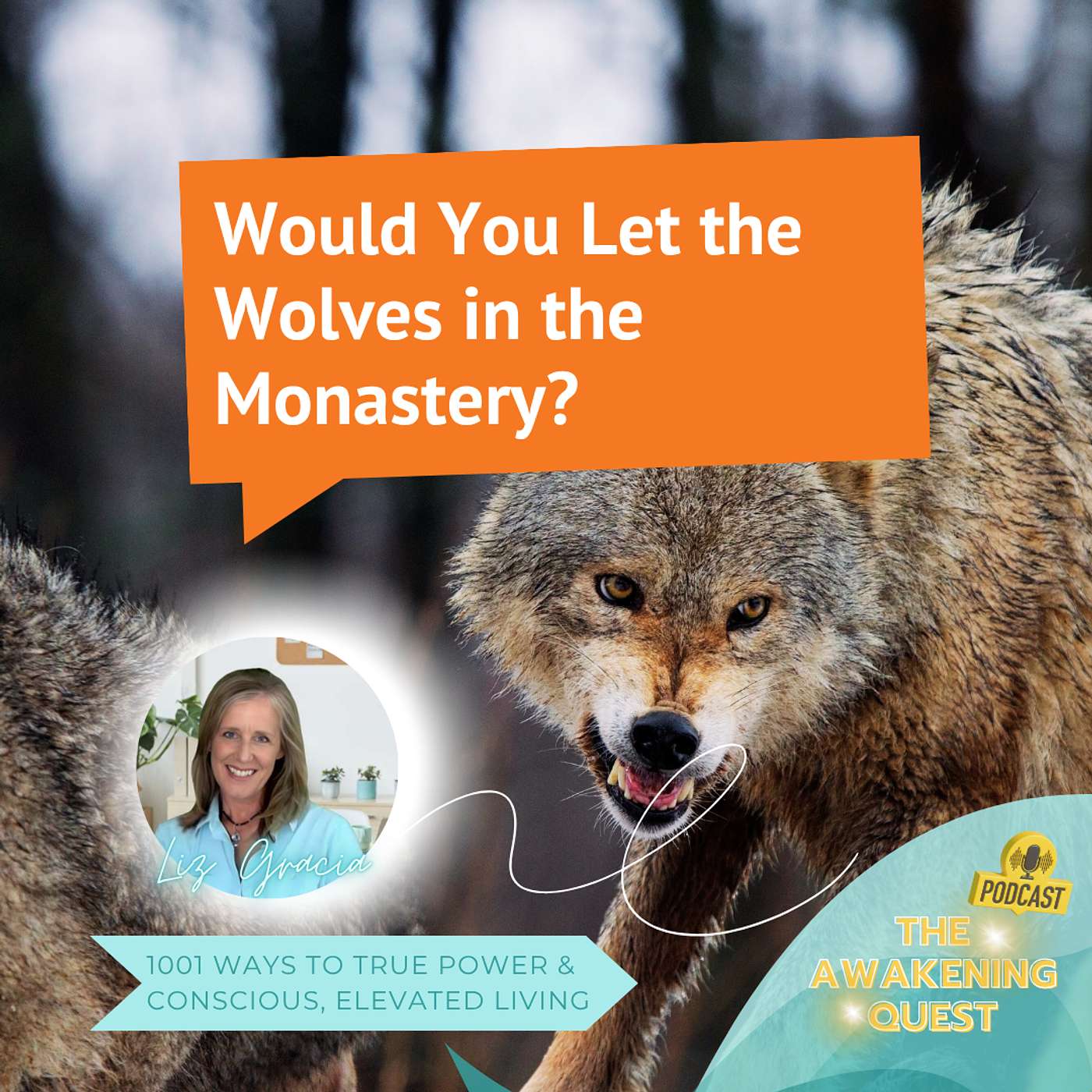 Would You Let the Wolves in the Monastery?