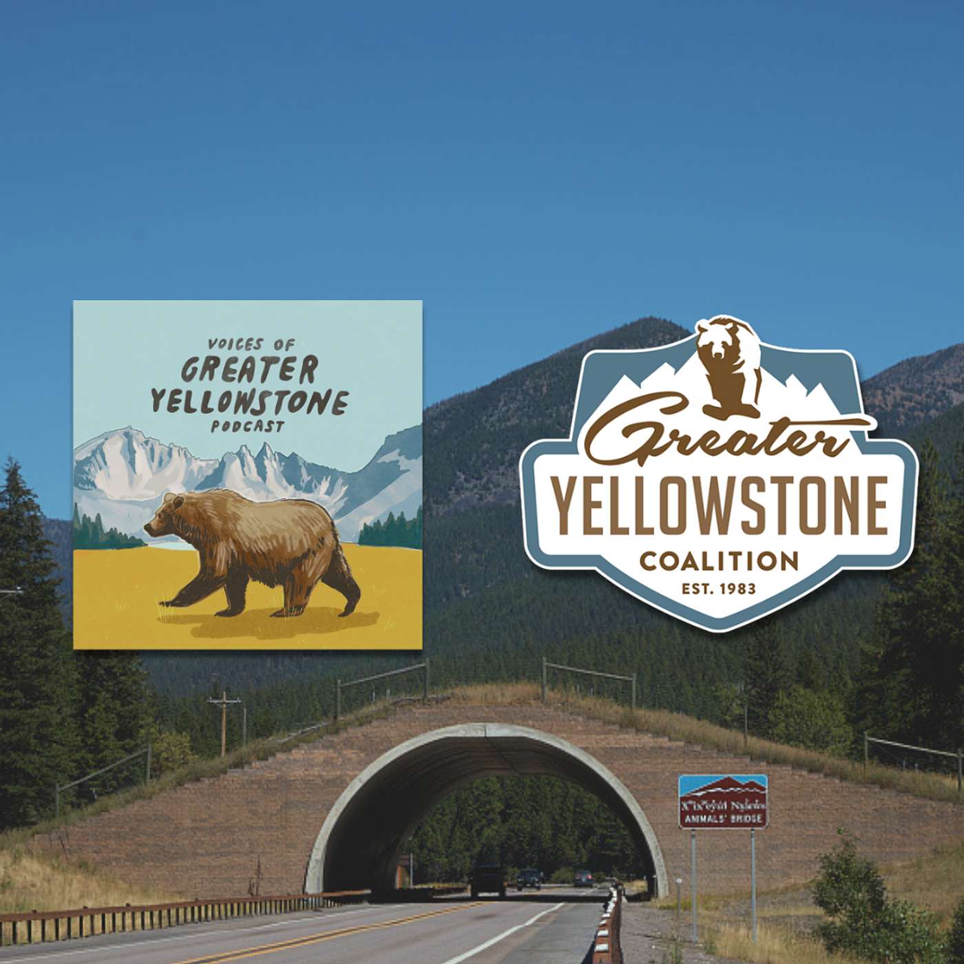 Making Strides for Montana Wildlife Crossings Making Strides for Montana Wildlife Crossings