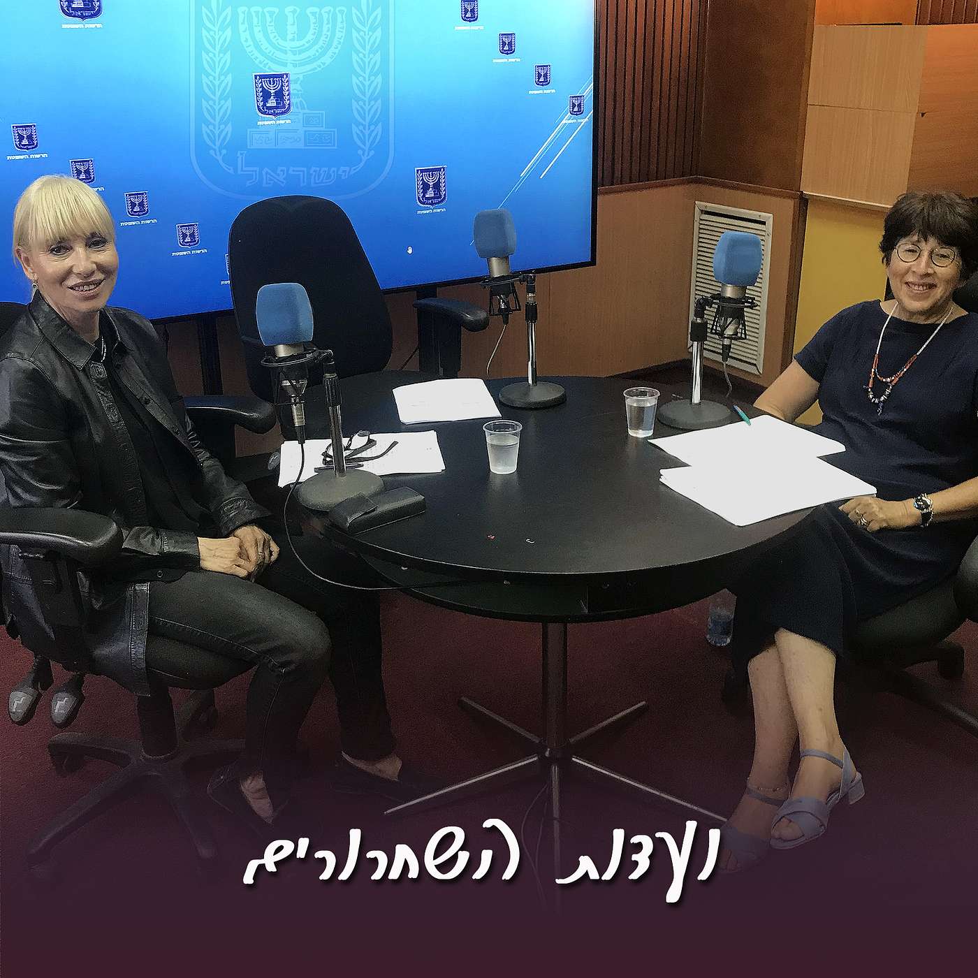 פרק 11 – ועדות שחרורים