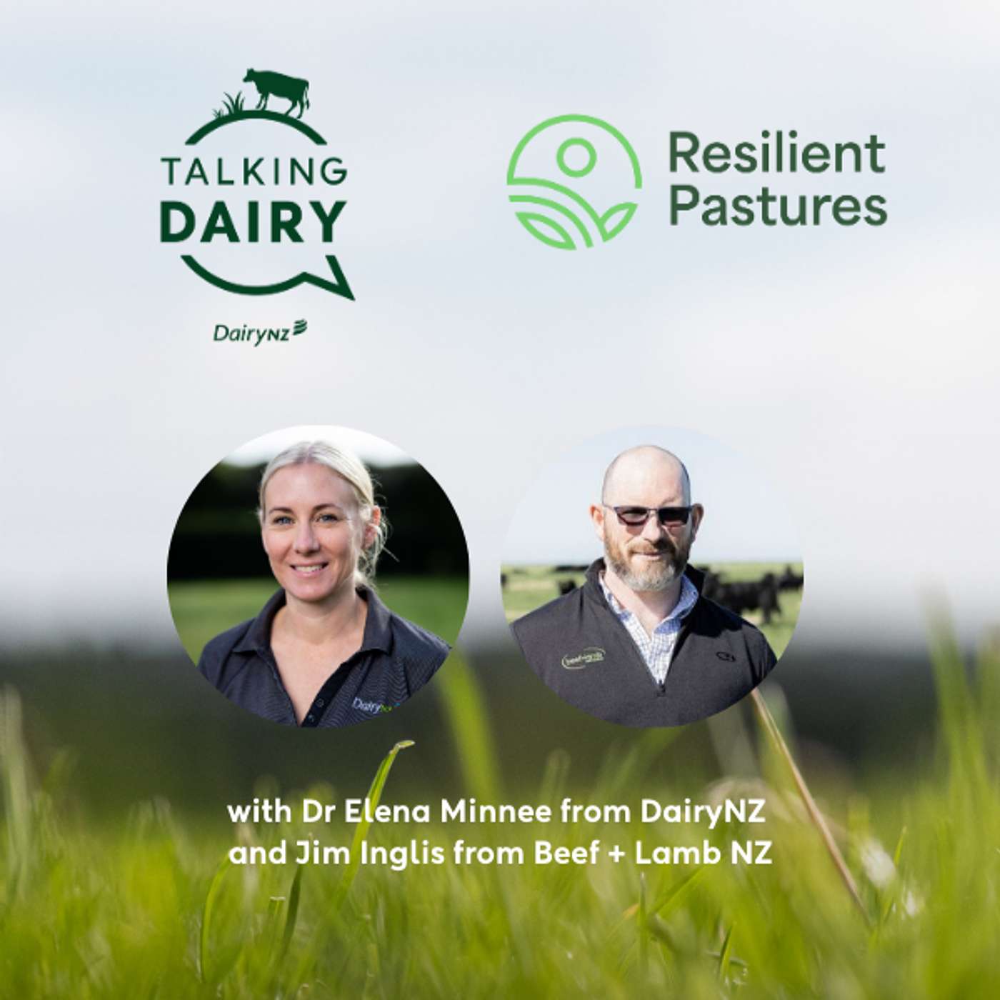 Talking Dairy