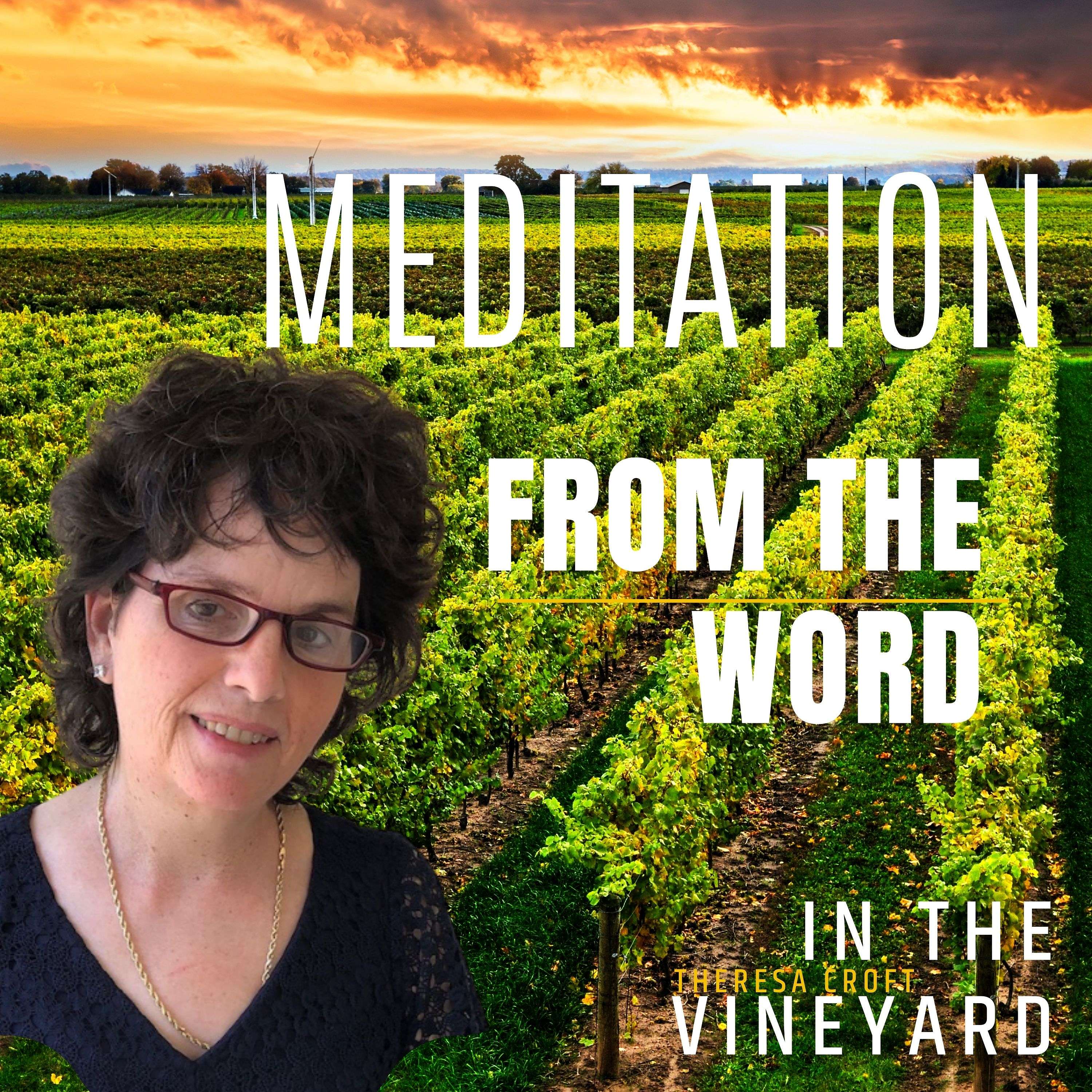 Meditation & The Word-From The Vineyard