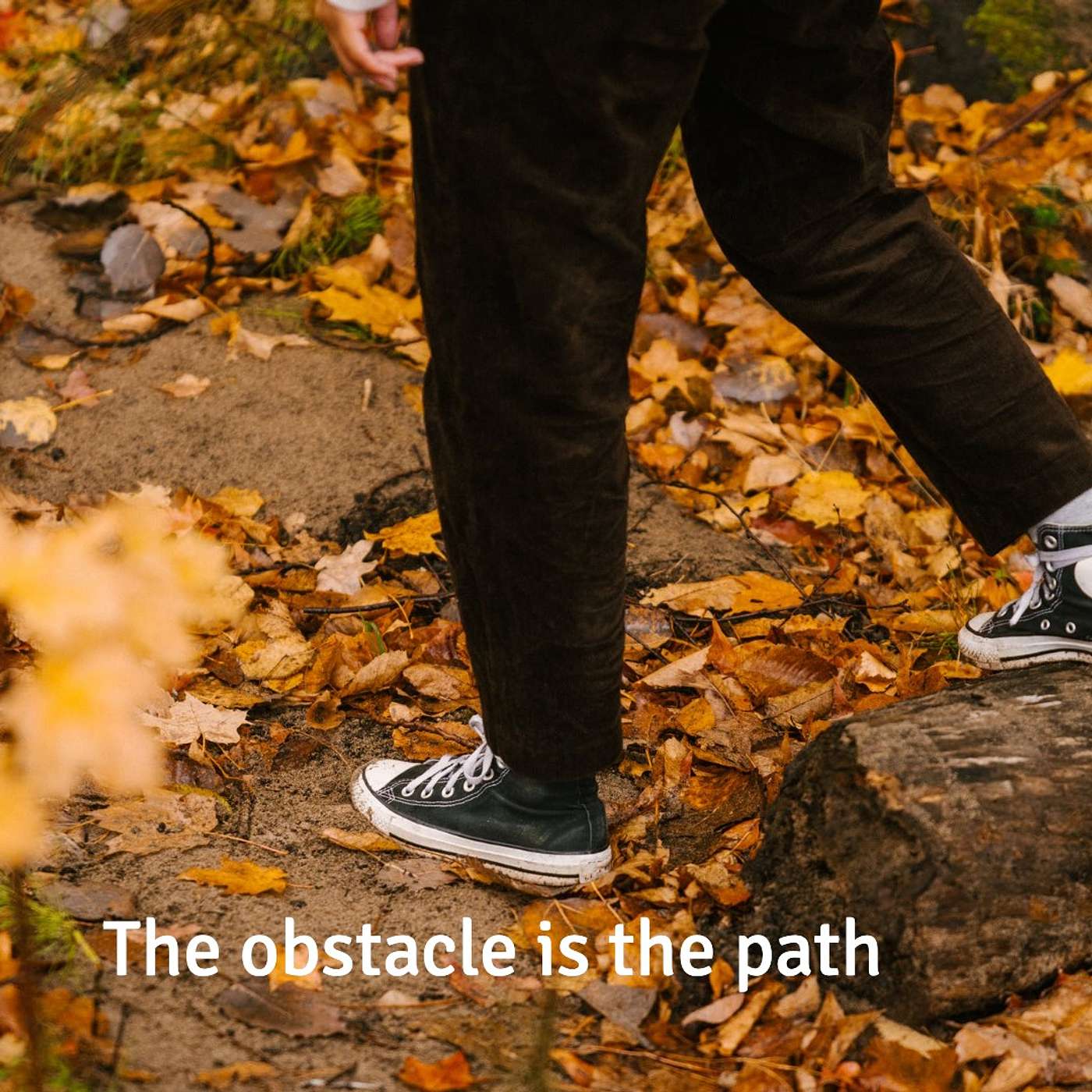 #291 The obstacle is the path episode artwork