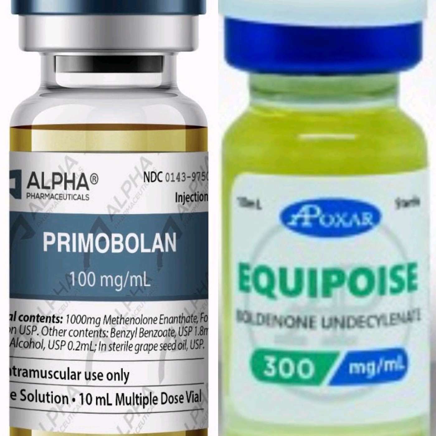 4th Edition of the ANABOLIC ACADEMY: PRIMO VS EQ - What is a Better Off-Season Drug? episode artwork