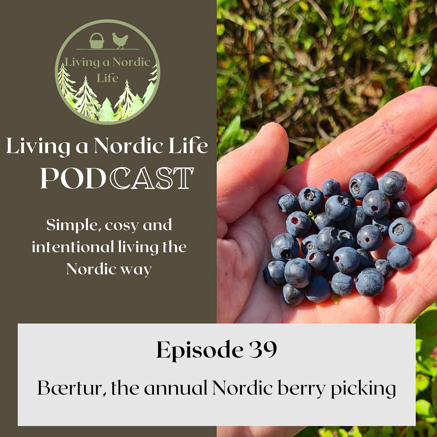 39:  Bærtur, the annual Nordic berry picking trip