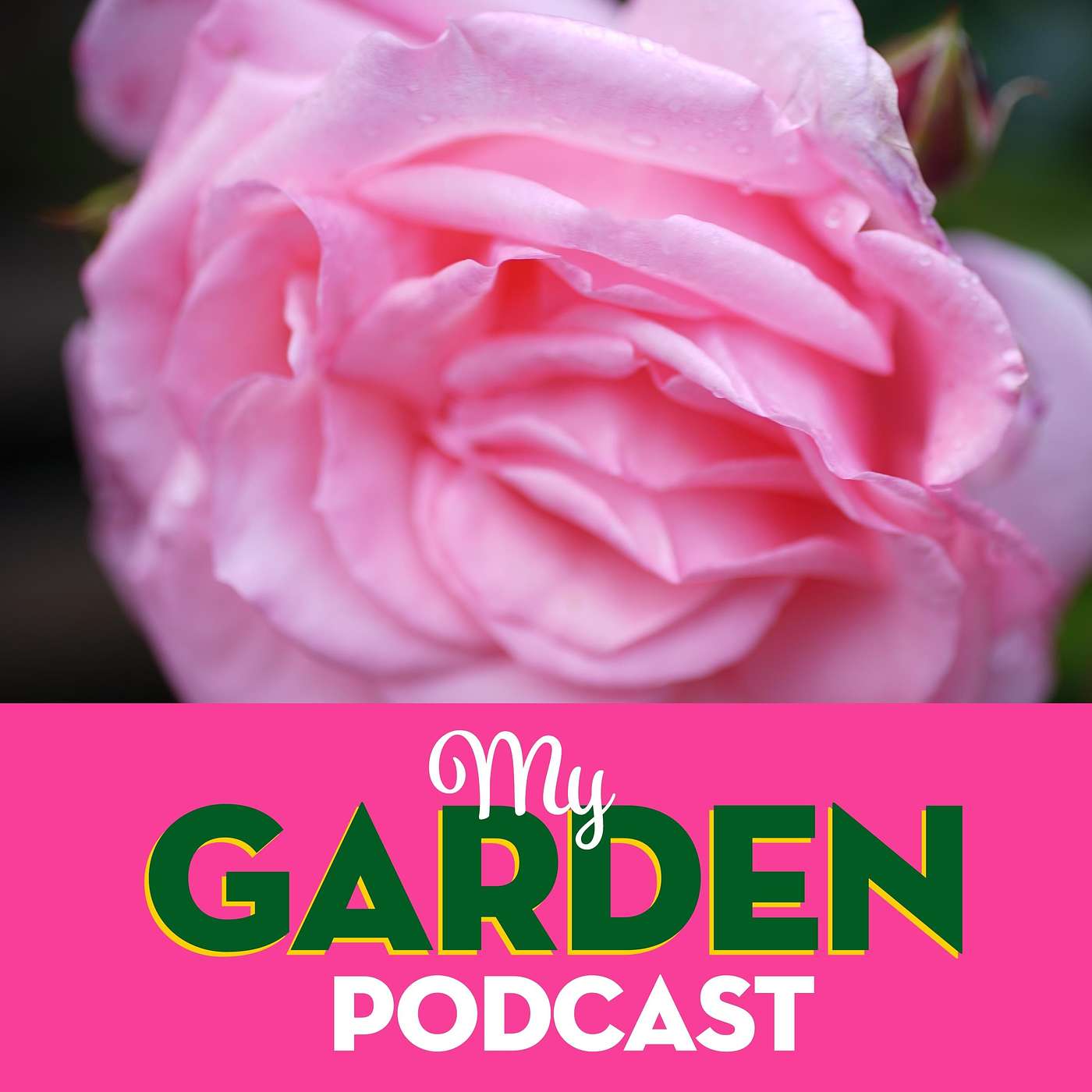 My Garden Podcast - Gardening Podcast