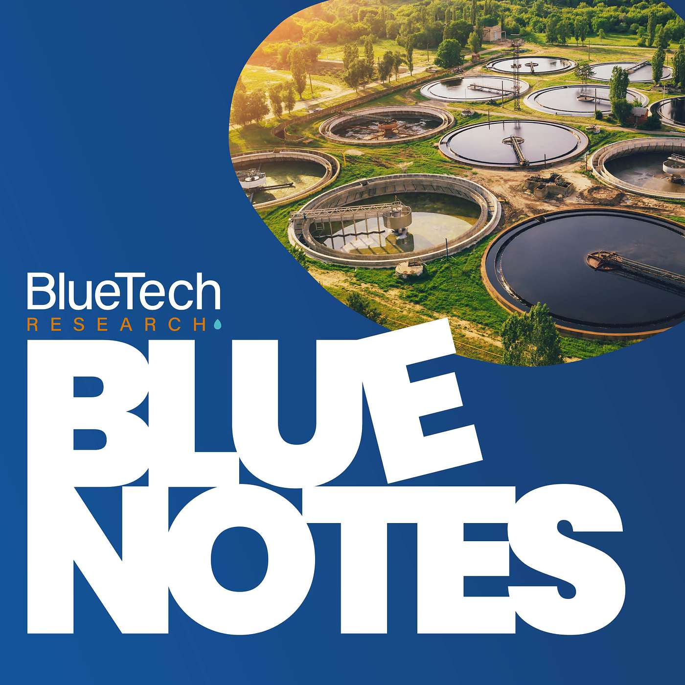 BlueNotes