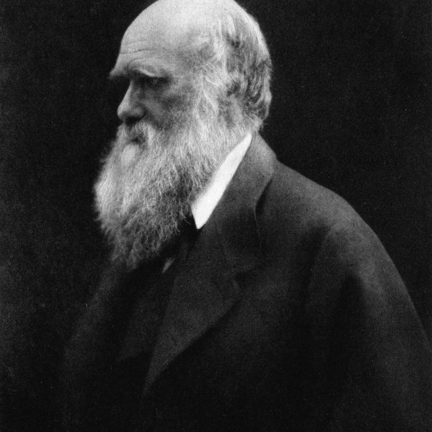 8. How the theory of evolution revolutionized science and society