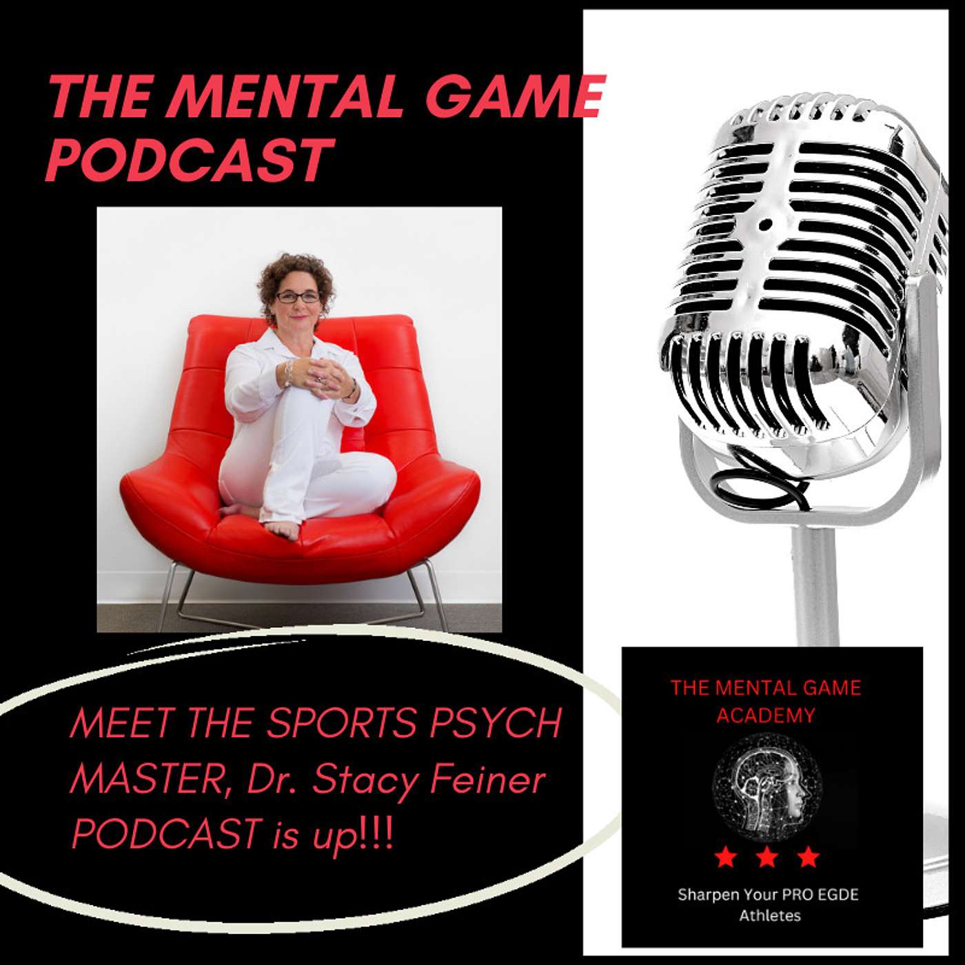 Dr. Stacy Feiner's TOP NOTCH ACCELERATOR PROGRAMS FOR ATHLETES episode artwork