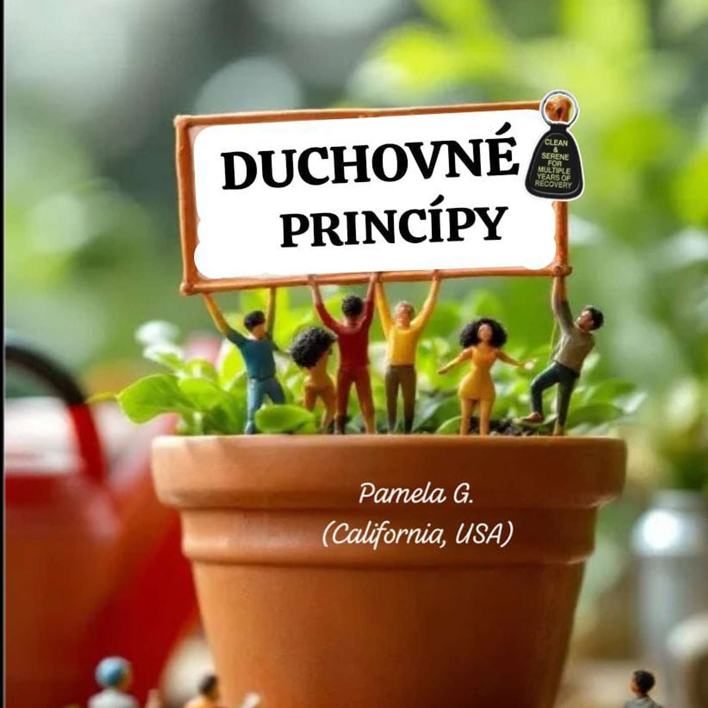 Duchovné princípy - Pamela G. (California, USA) - 20. 7. 2025 episode artwork