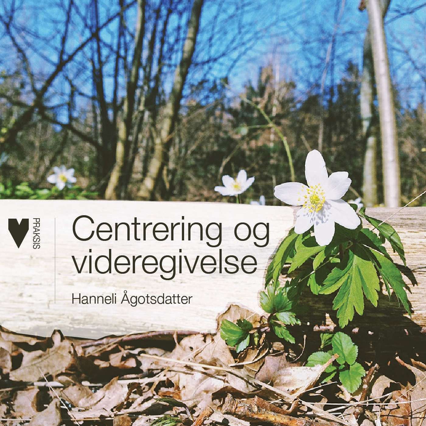 LIGE FRA HJERTET