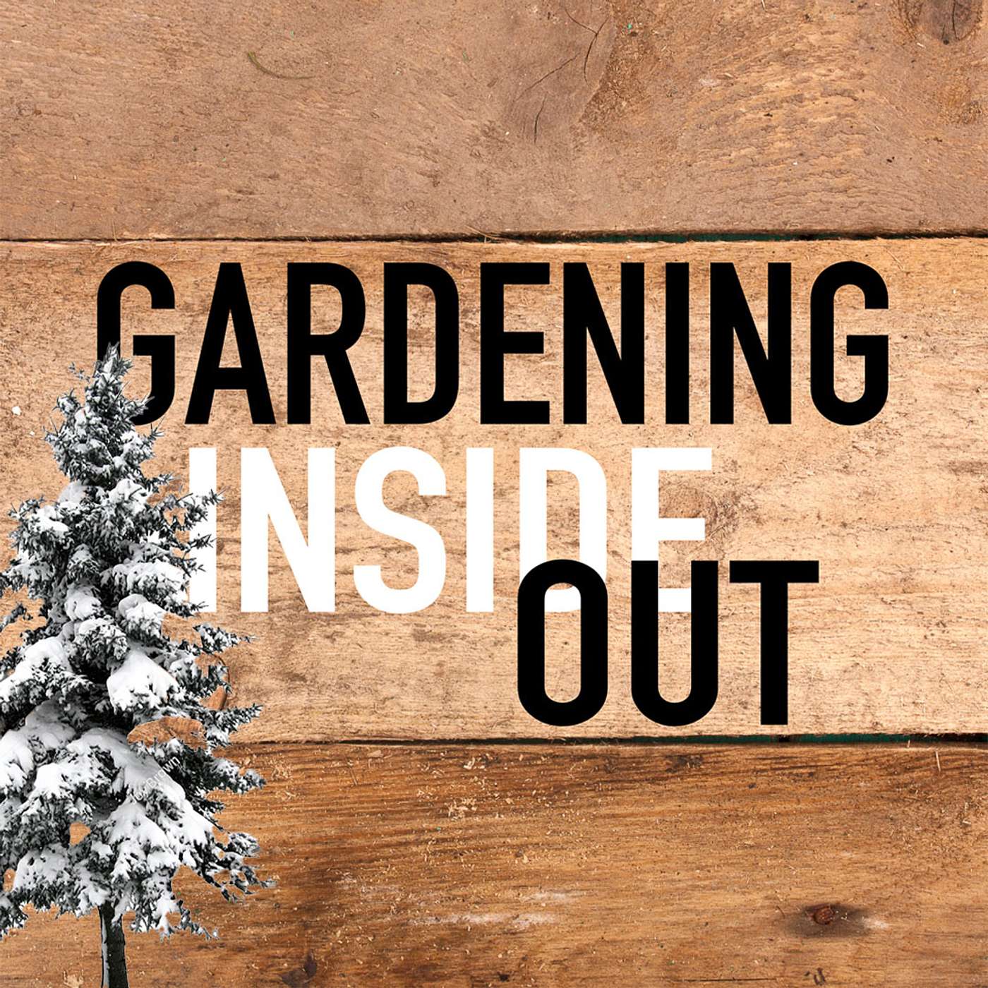 Ep. 131 | Recovery from the ice storm, Helping cold houseplants, Austin's favorite white flowers | Jan 31