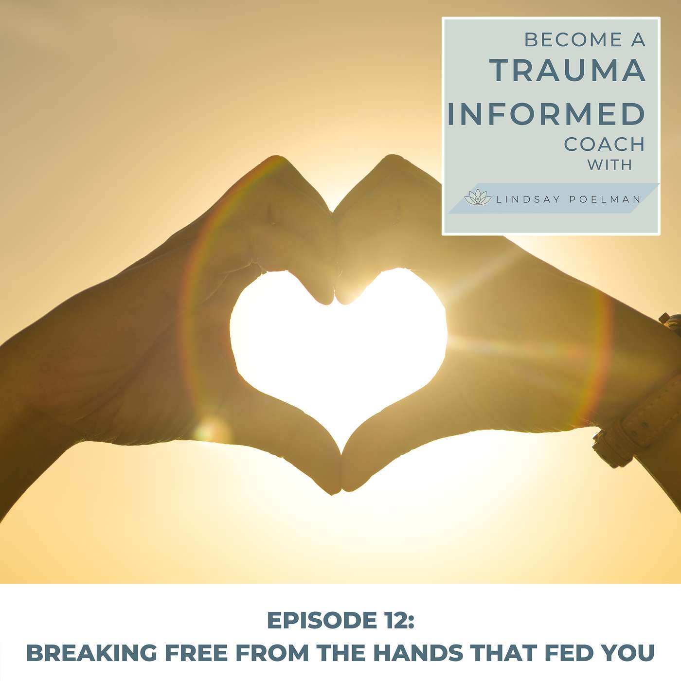 Become A Trauma Informed Coach