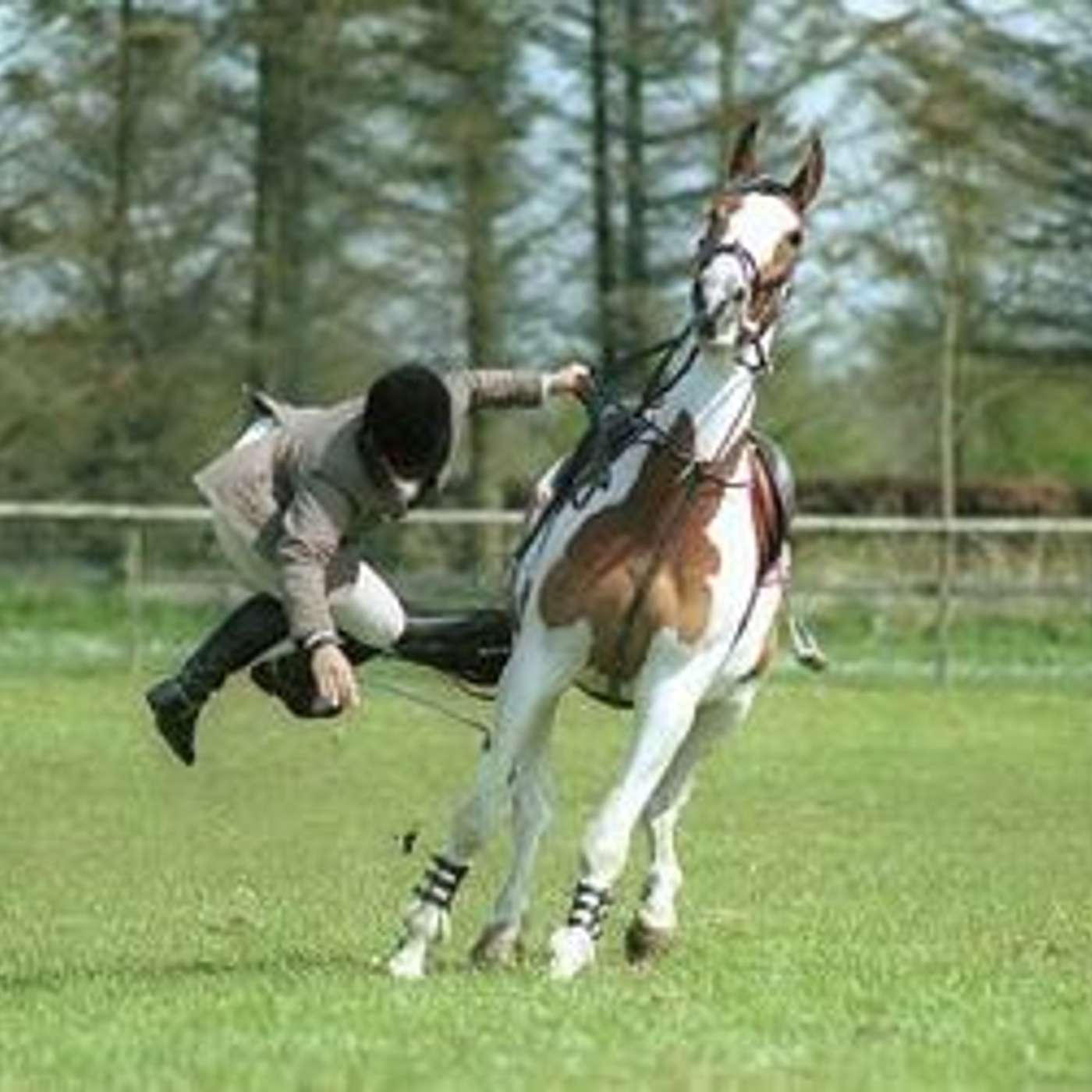 Episode 1007 - What if you Fall off the Horse?