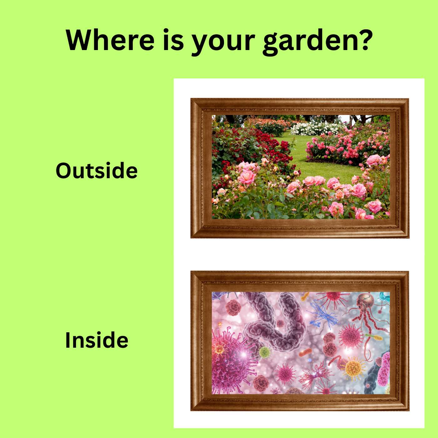 Episode 38: Gut Health- 7 Day Gut Garden Challenge