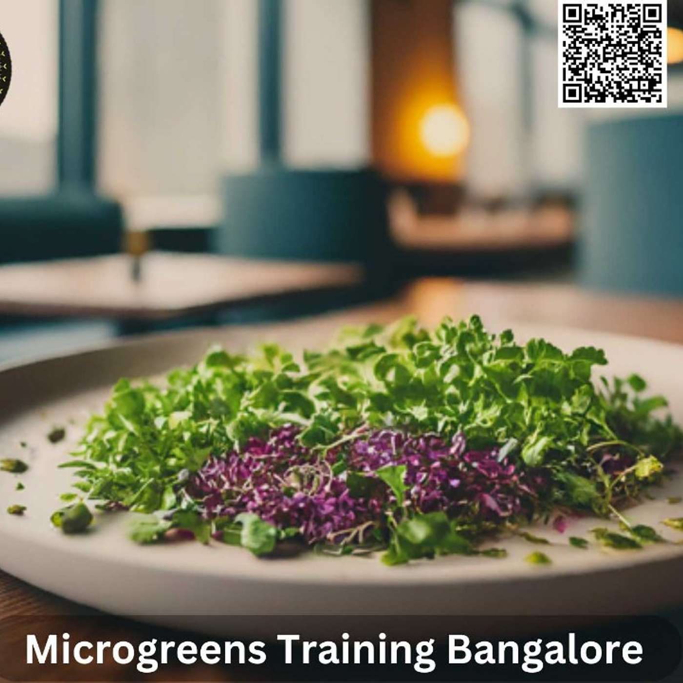 Microgreens Training Bangalore: Grow Your Green Thumb with Expert Tips!