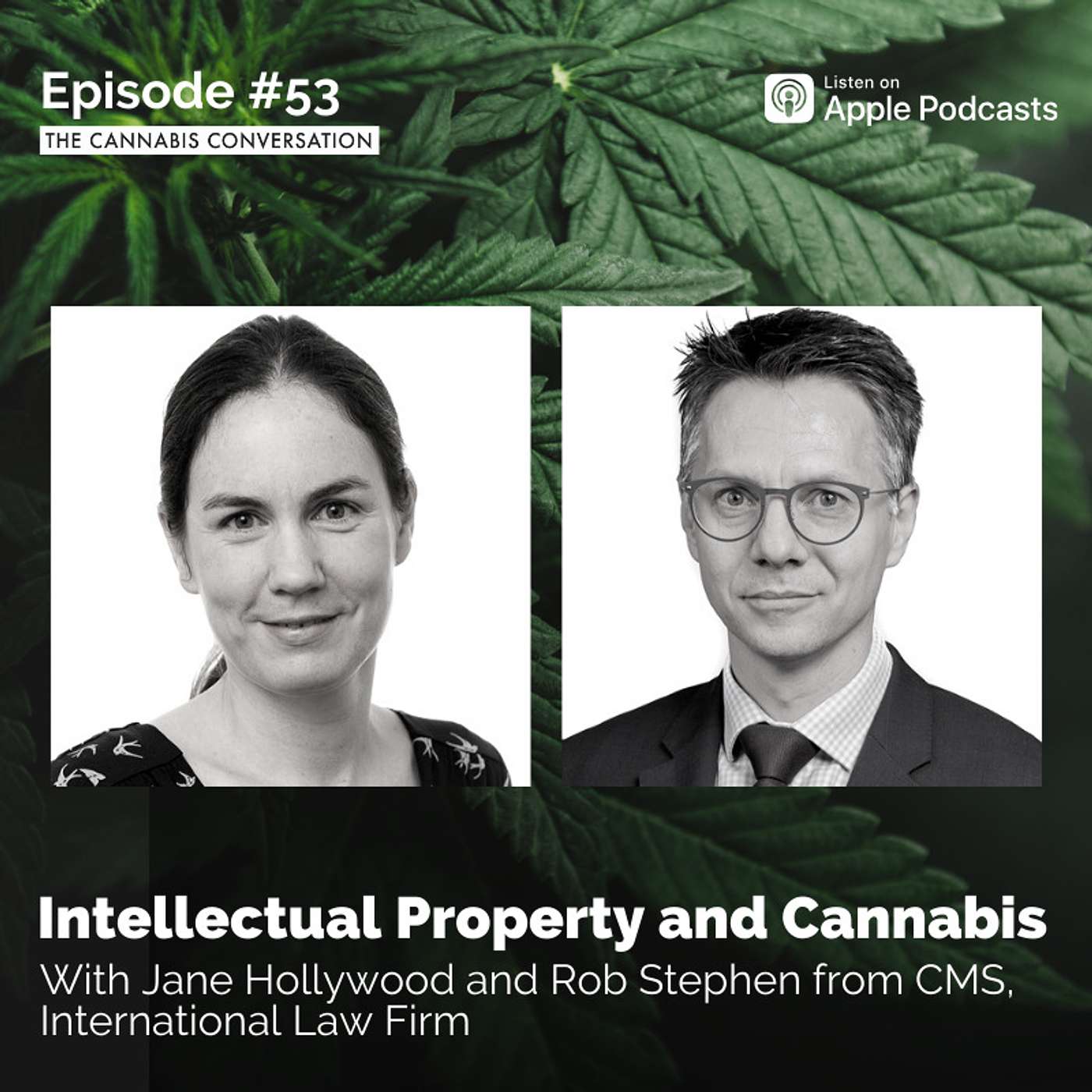 The Cannabis Conversation | Medical Cannabis | CBD | Hemp