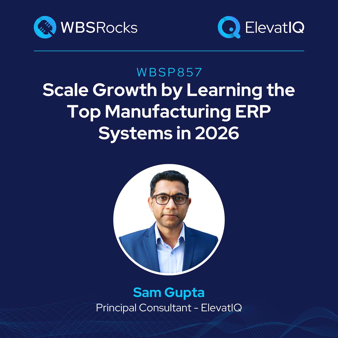 WBSRocks: Scaling Growth with AI, Enterprise Software, and Digital Transformation
