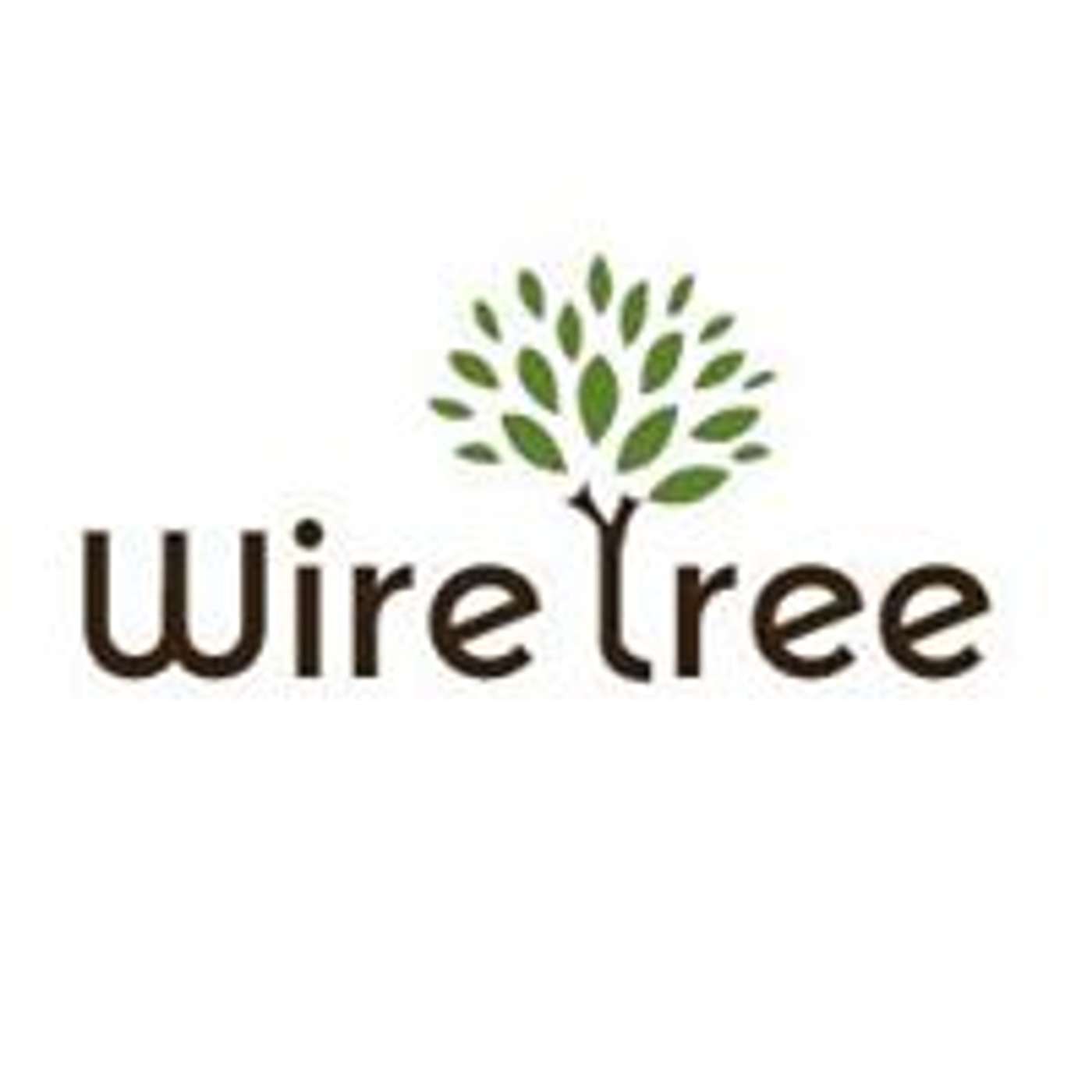 Website Design Toronto