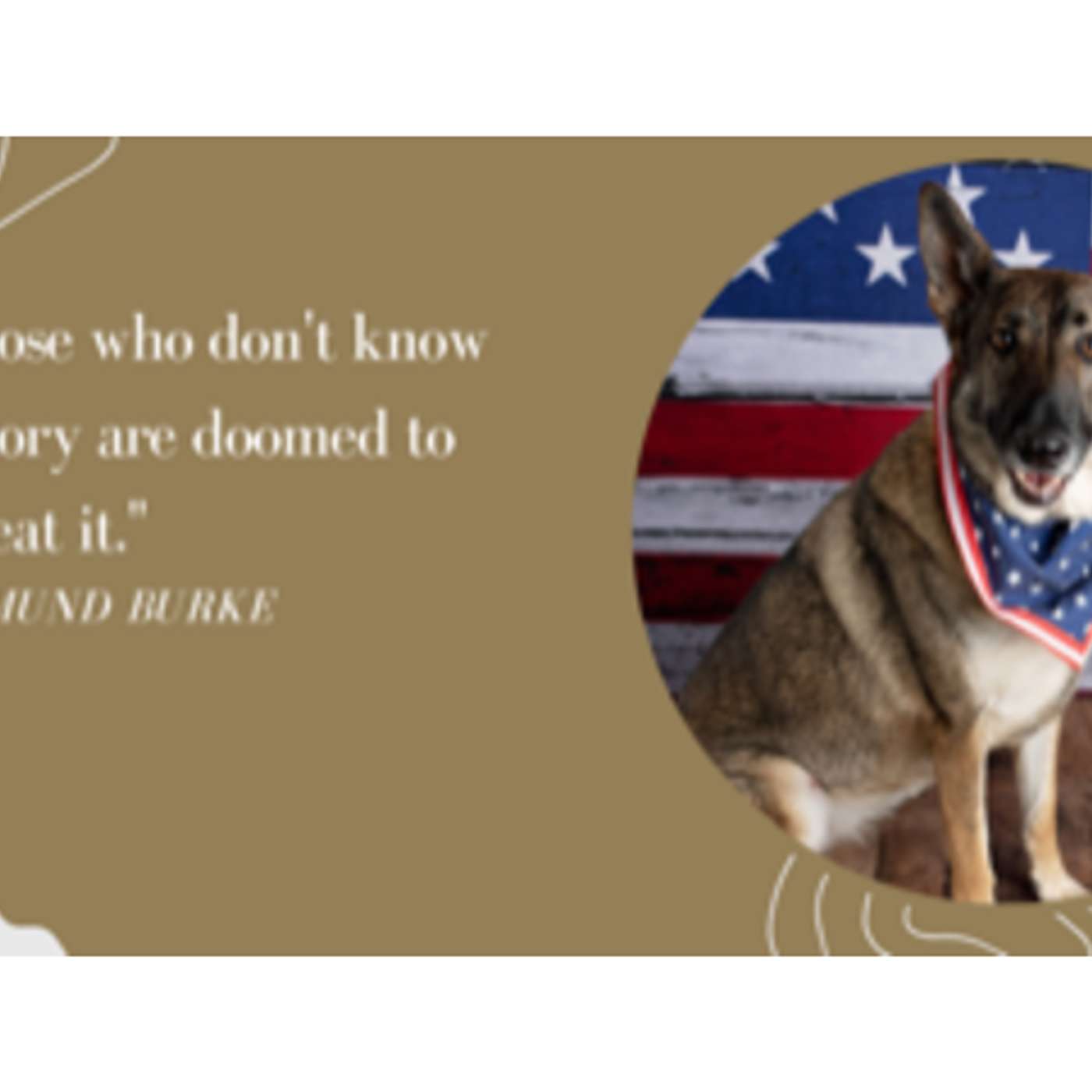 Those Who Don't Know Pet Food History are Doomed to Repeat It episode artwork