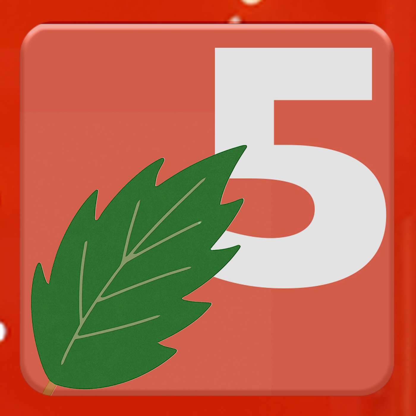 Aflevering 5: Practice what you preach