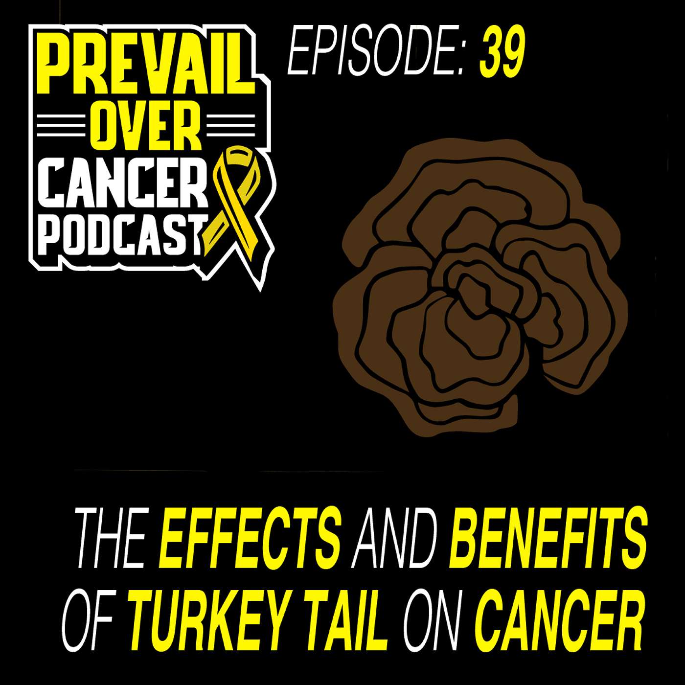The Effects And Benefits Of Turkey Tail On Cancer | Keith Bishop & Jeff Lopes 39