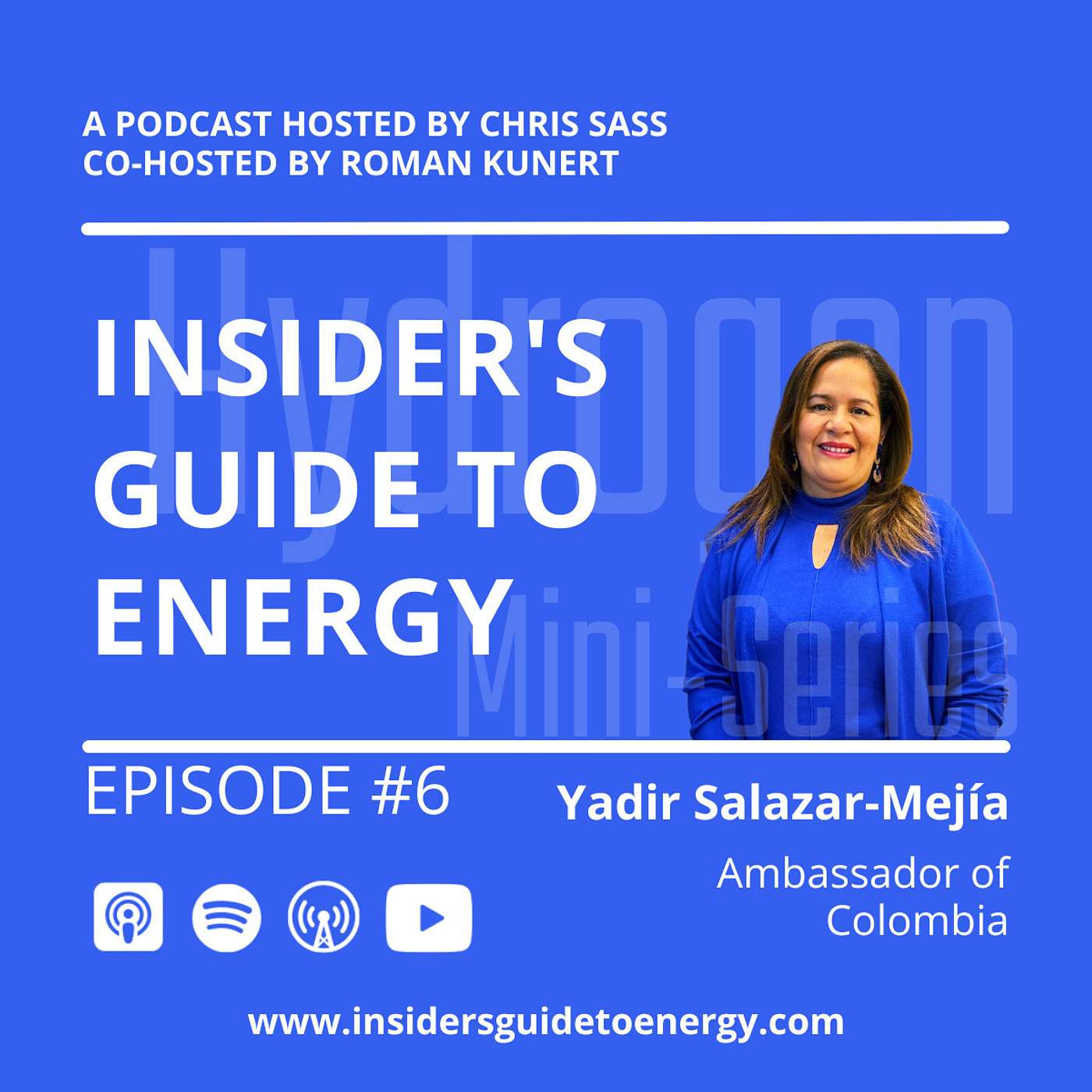 Insider\'s Guide to Energy