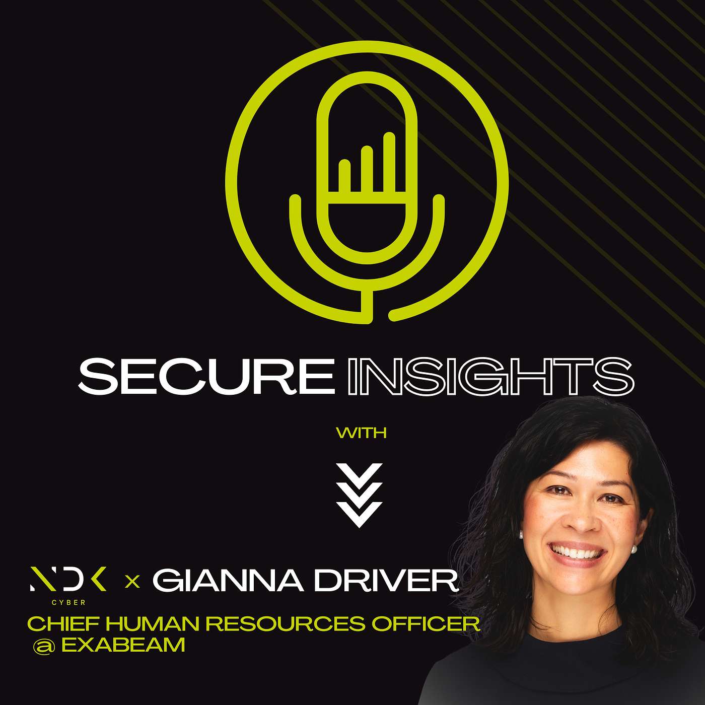 Secure Insights with NDK Cyber