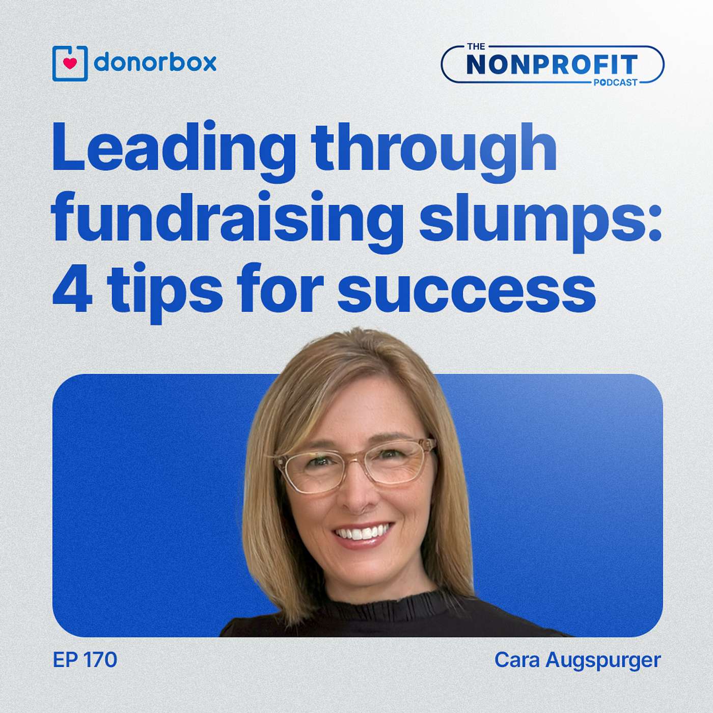 The Nonprofit Podcast