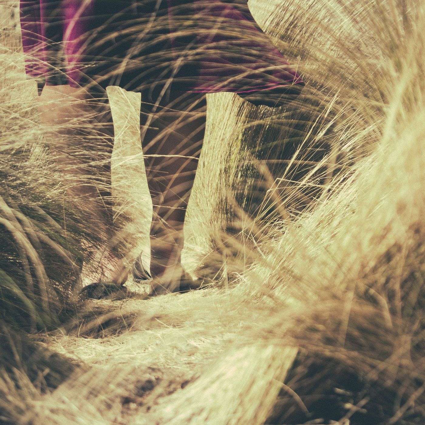 The Sabbath in the Old Testament