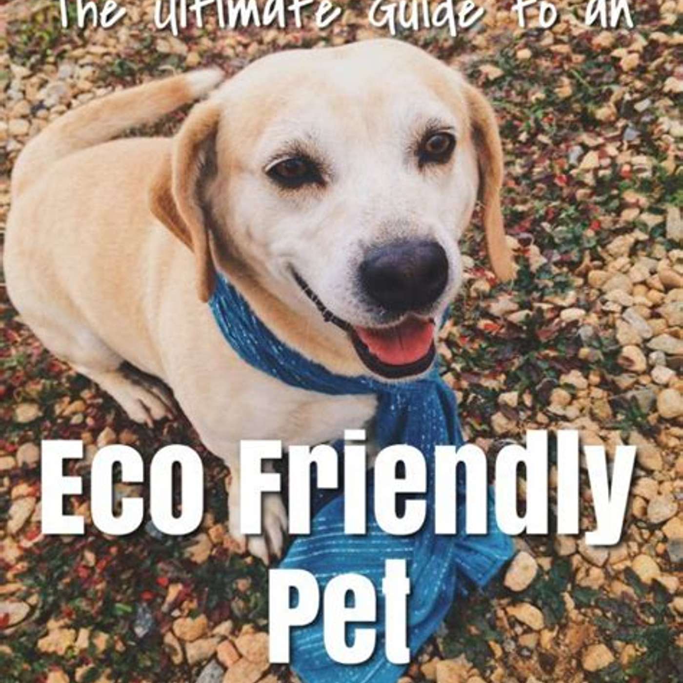 Eco pet keeping episode artwork