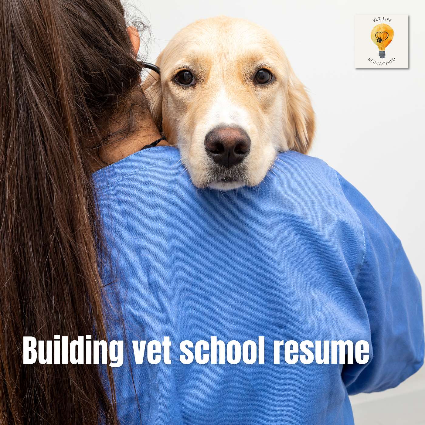 Trying to build your resume for vet school? How to look for experiences. episode artwork