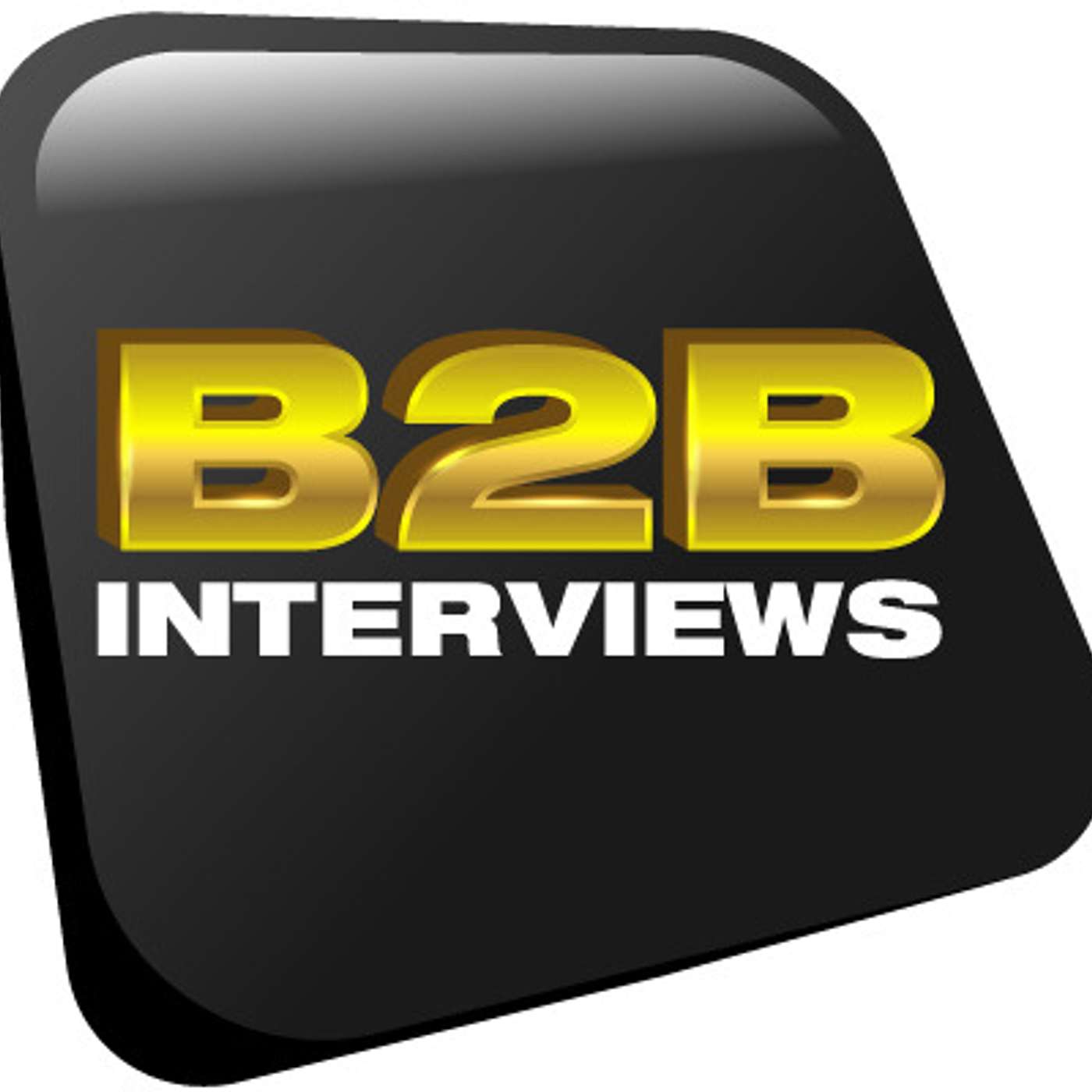 B2BInterviews.com