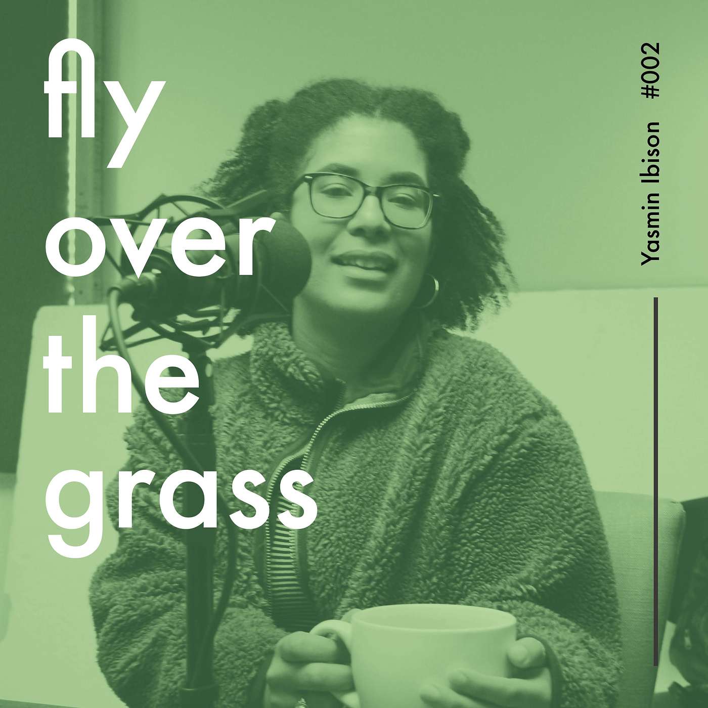 Fly Over The Grass