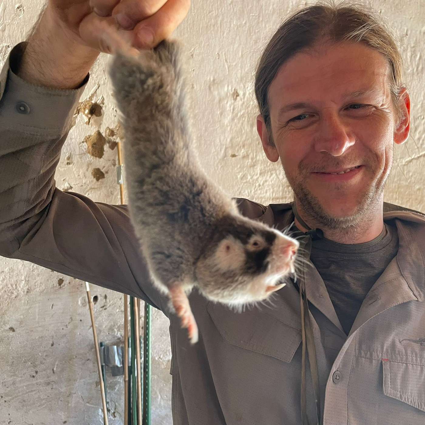 African mole-rats with Kyle Finn