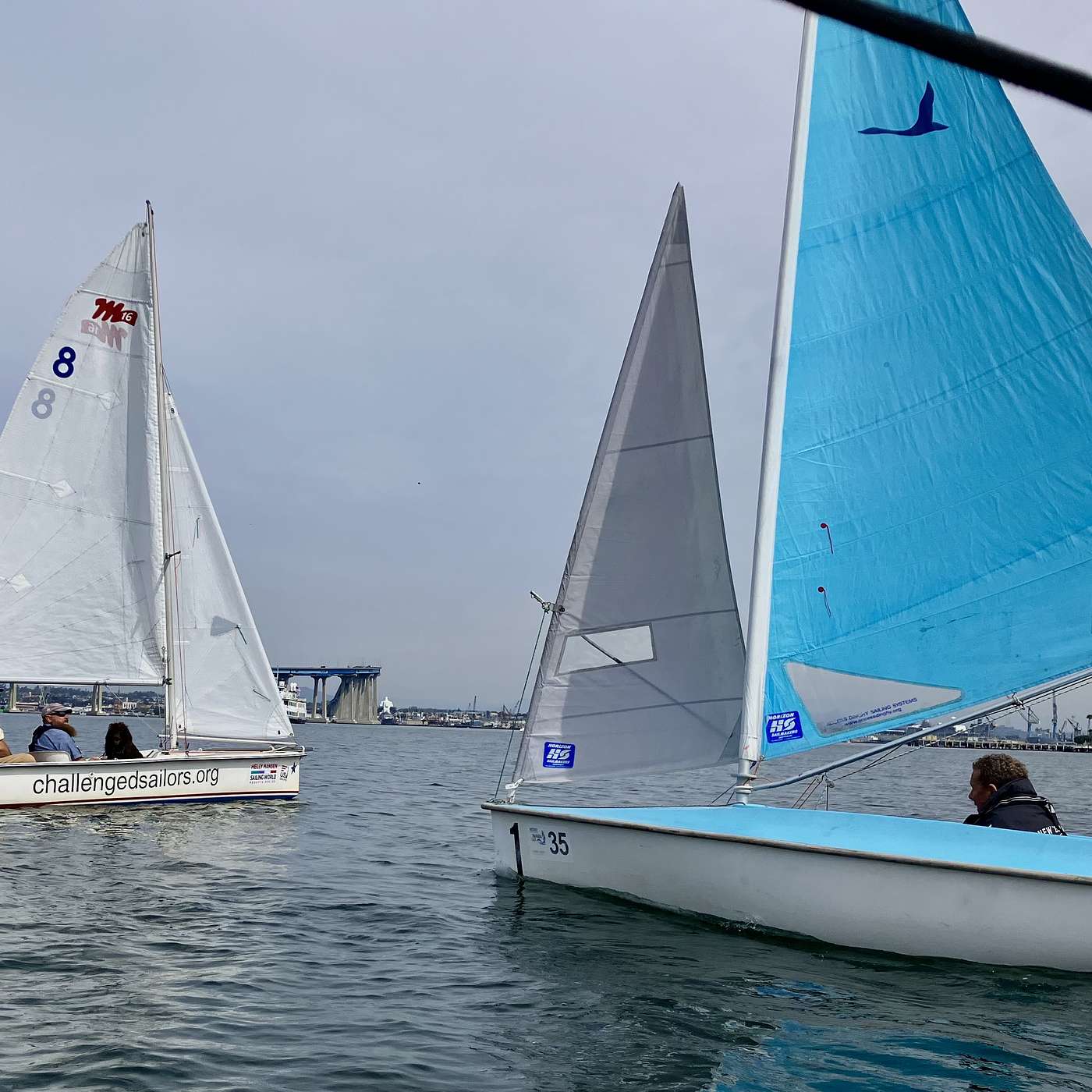 Sailboat Racing in San Diego