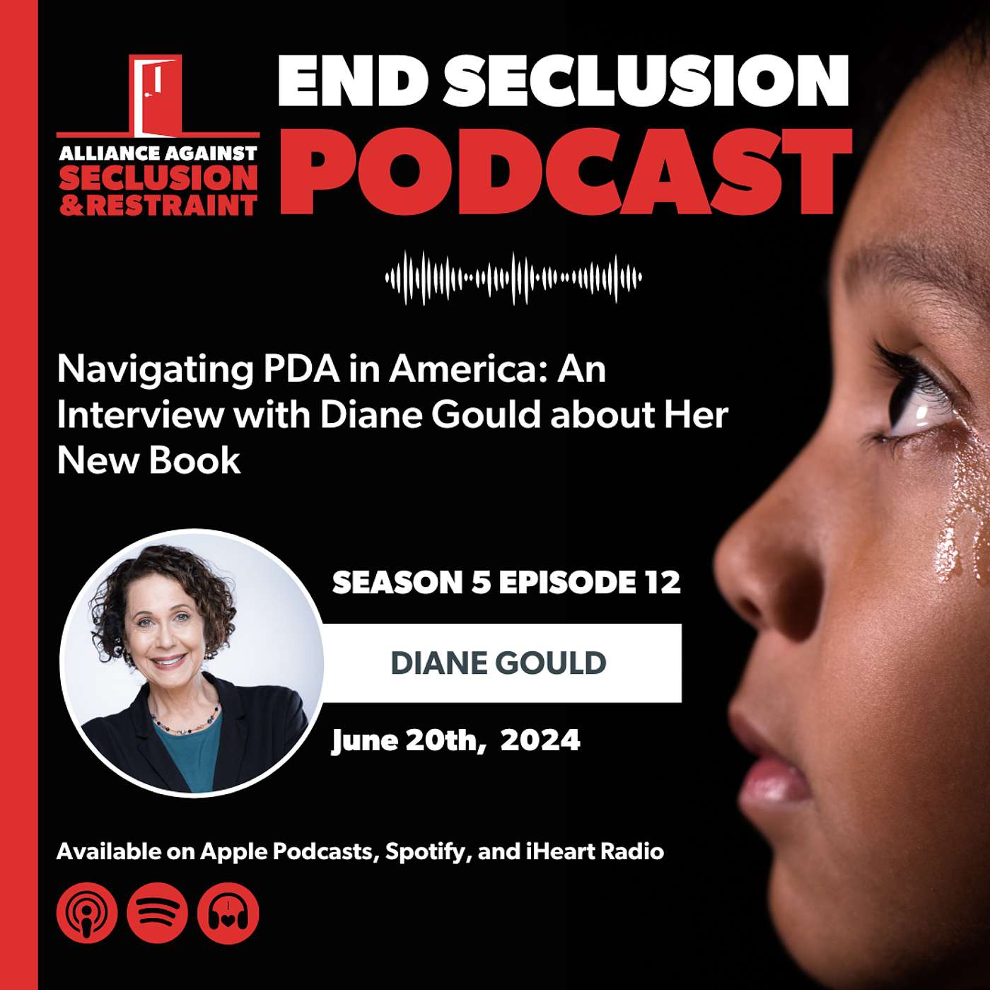 Navigating PDA in America: An Interview with Diane Gould about Her New Book