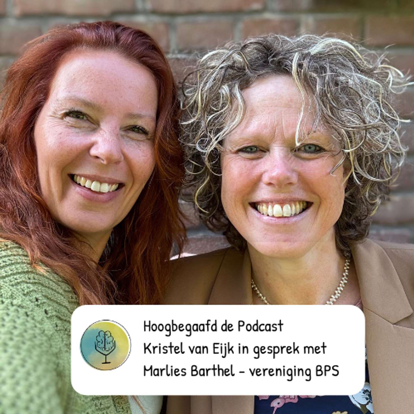 Hoogbegaafd de Podcast