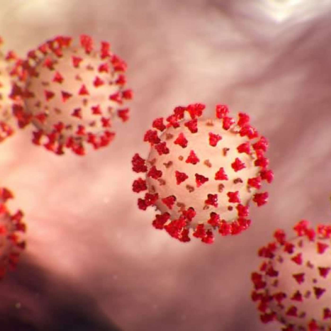 The Rant Network March 8 2021 COVID 19 Vaccine or not to