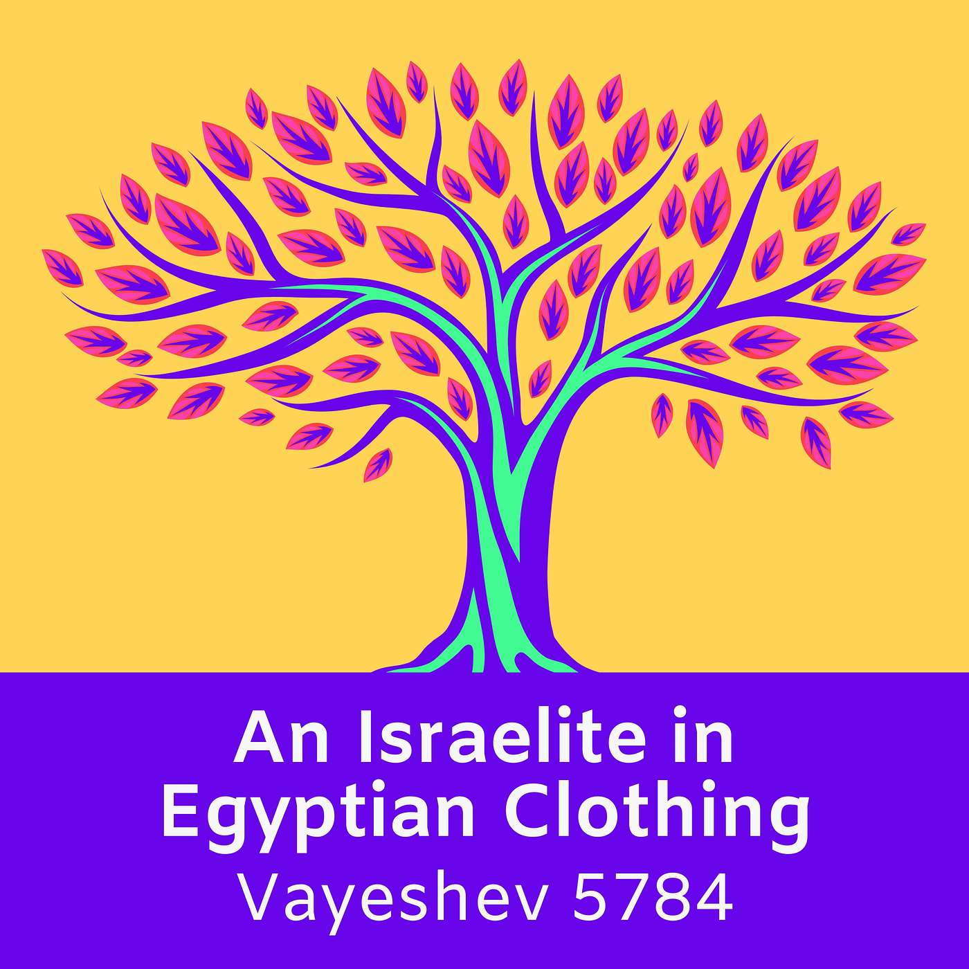 An Israelite in Egyptian Clothing