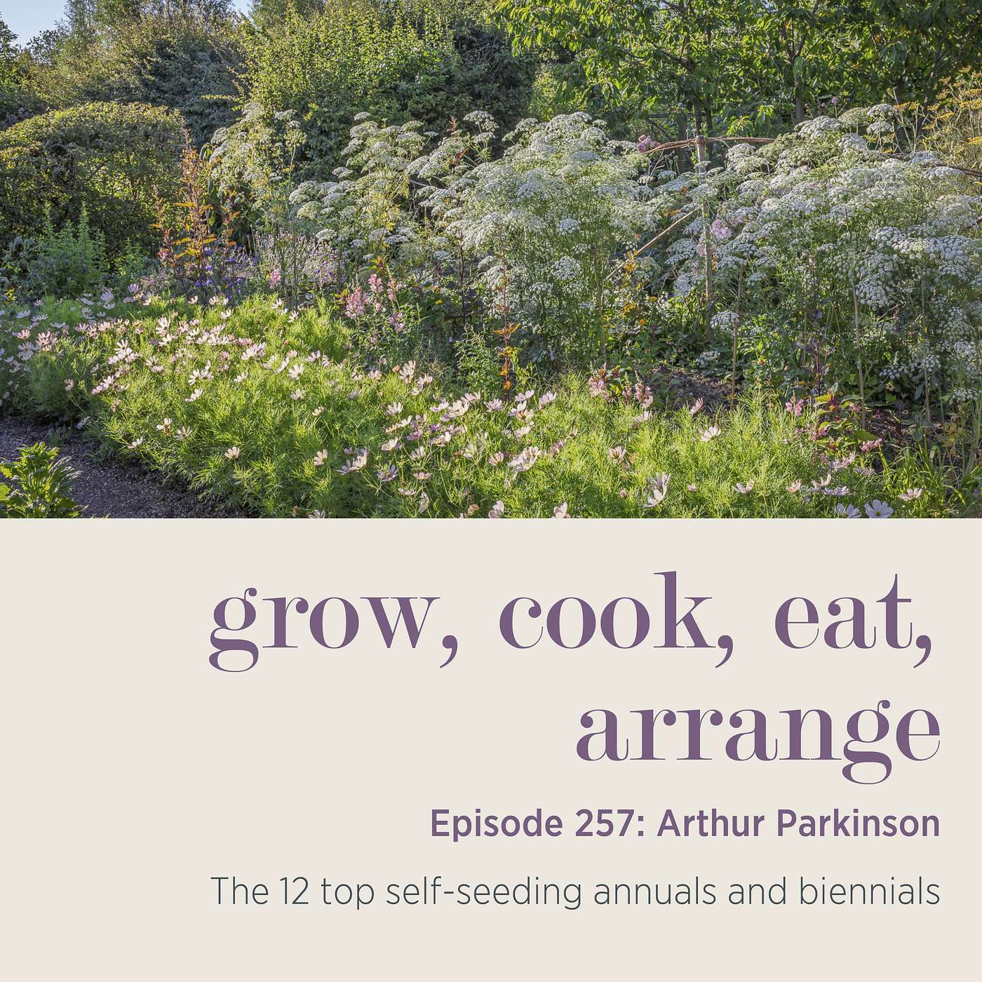Arthur Parkinson: The 12 top self-seeding annuals and biennials - Episode 257